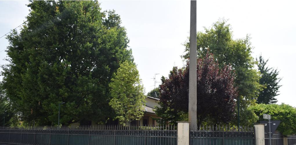 immobile villa all'asta in Via R Morandi 8/15 - 41036 Medolla (MO) - 2