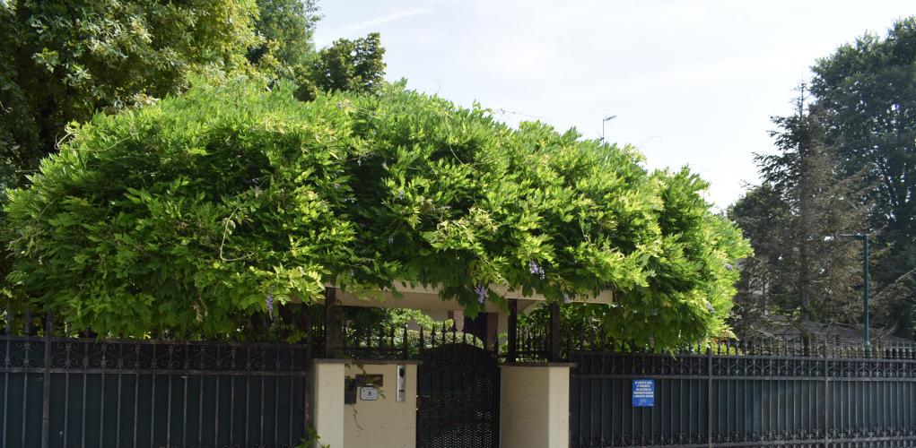 immobile villa all'asta in Via R Morandi 8/15 - 41036 Medolla (MO) - 4