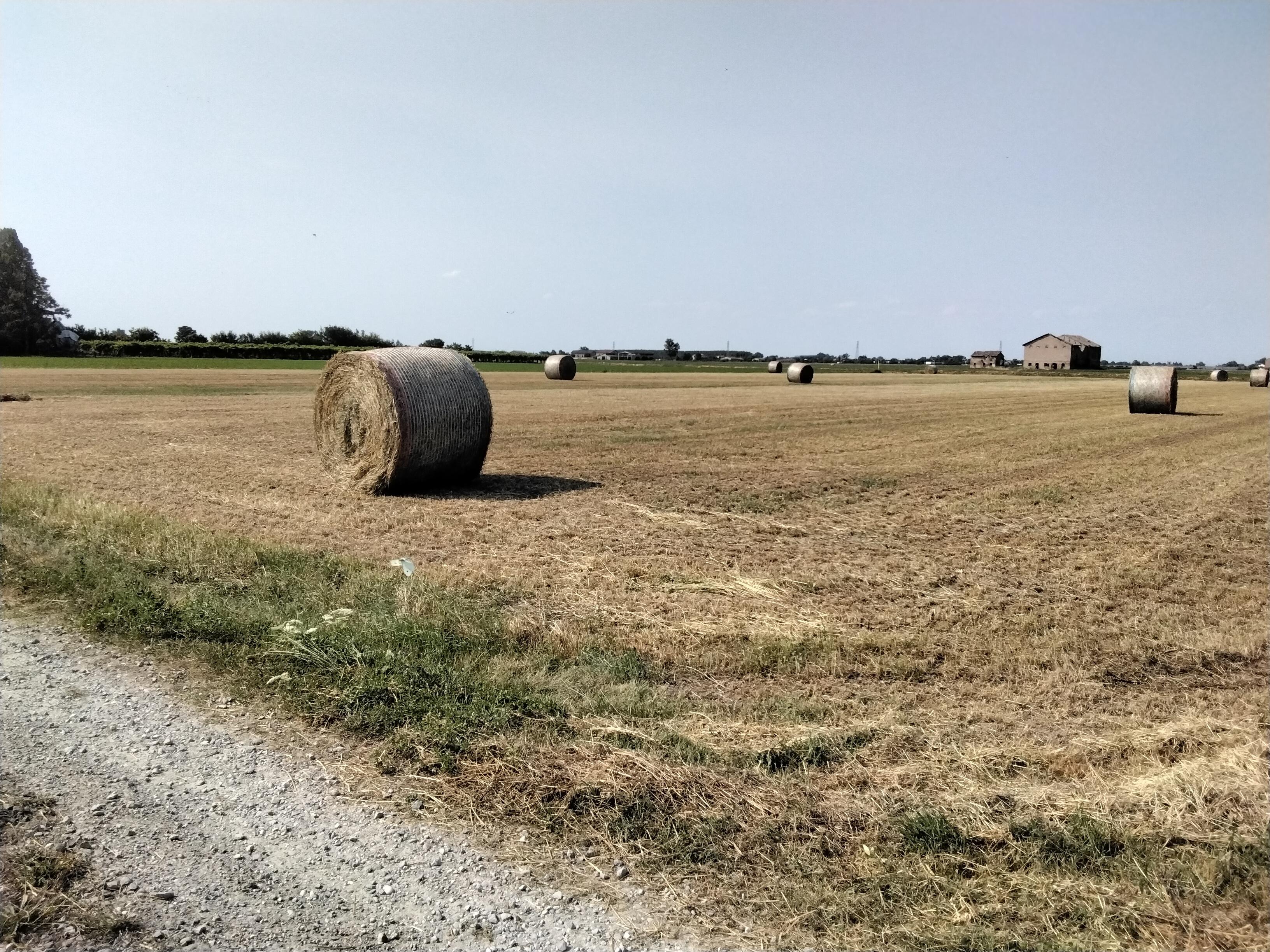 immobile terreno all'asta in Via Ca' Matte Sud - 42018 San Martino in Rio (RE) - 1