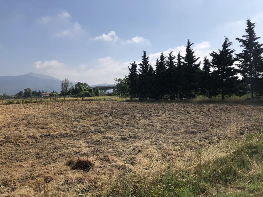 immobile magazzino all'asta in via Carraia - 56021 Cascina (PI) - 3