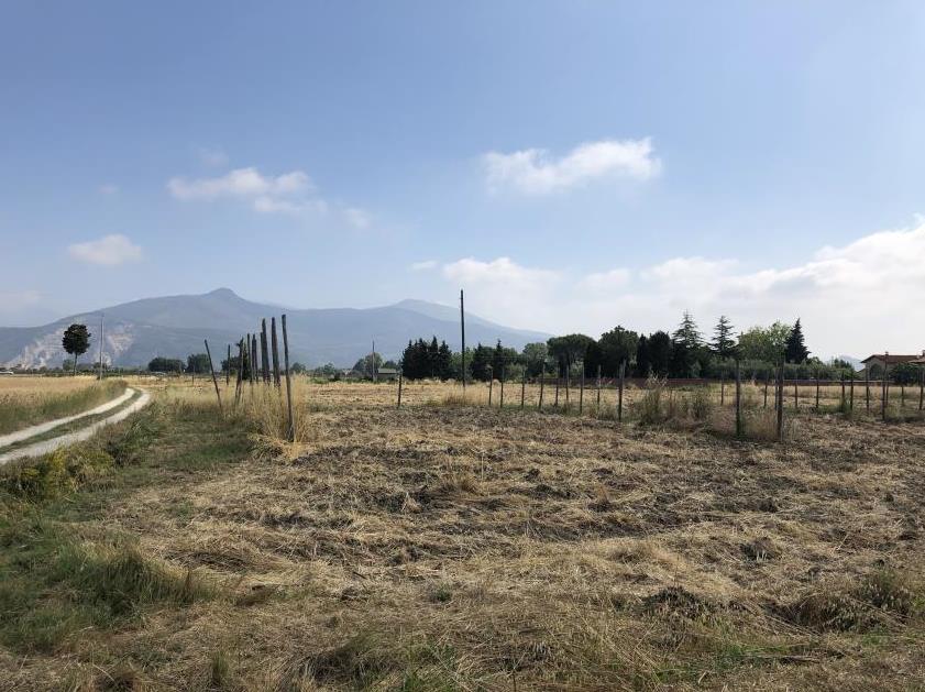 immobile magazzino all'asta in via Carraia - 56021 Cascina (PI) - 4