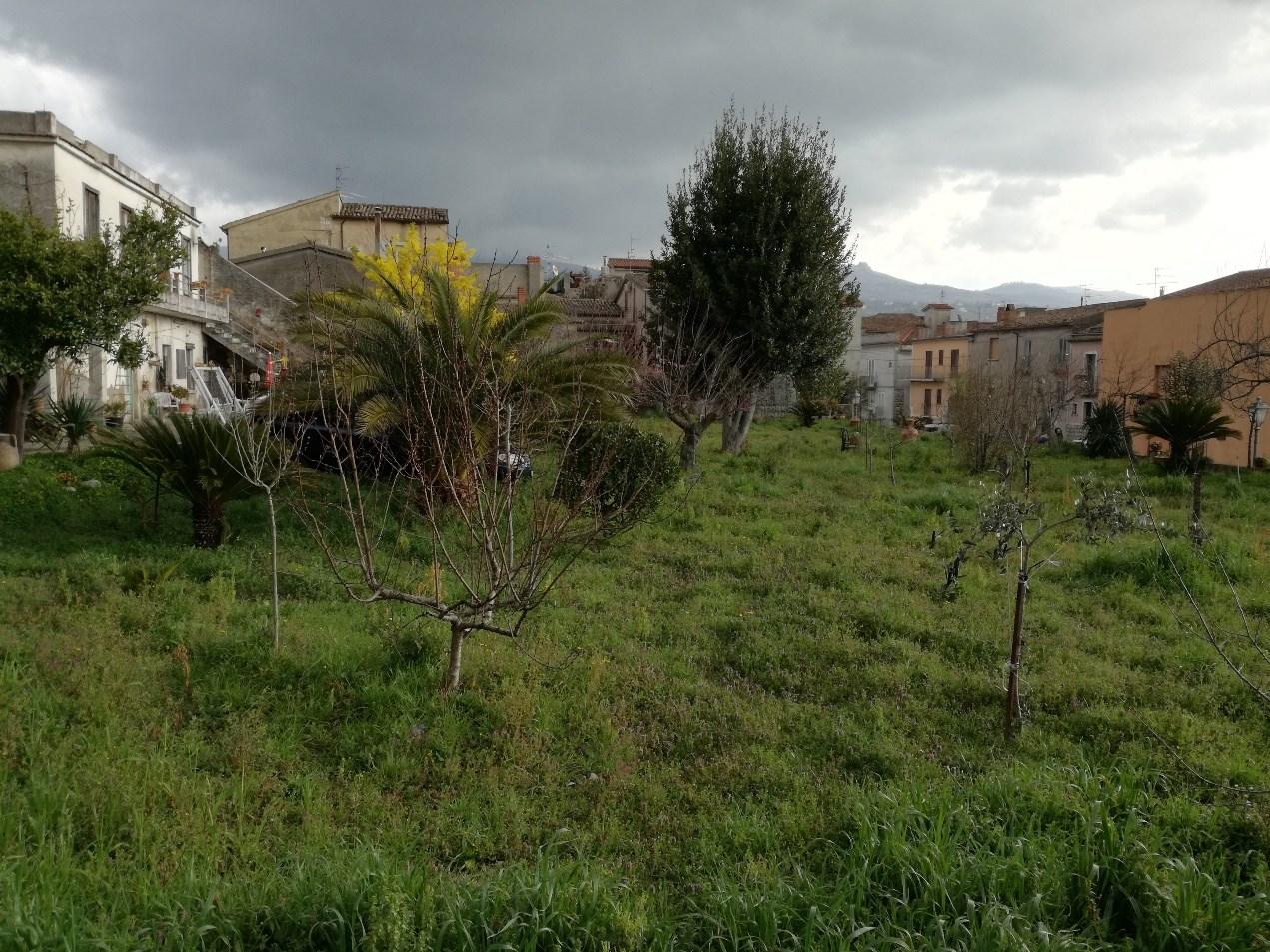 immobile rustico all'asta in Via Chiaie n 33 - 82032 Cerreto Sannita (BN) - 3