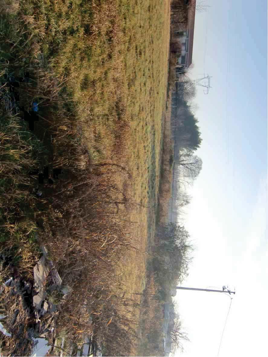 immobile terreno all'asta in Via Lazzaretto - 31044 Montebelluna (TV) - 3