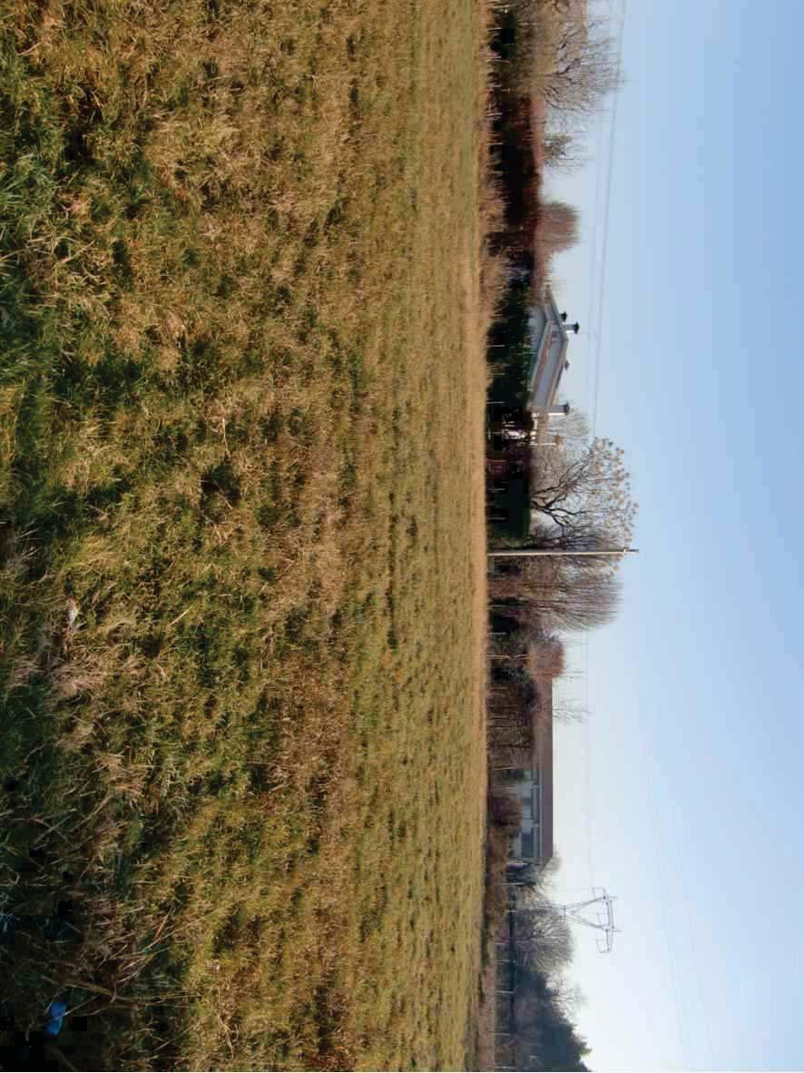 immobile terreno all'asta in Via Lazzaretto - 31044 Montebelluna (TV) - 4