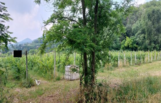 immobile terreno all'asta in Loc Contrada Valle San Giorgio, Via Monticelli, snc - 35030 Baone (PD) - 1
