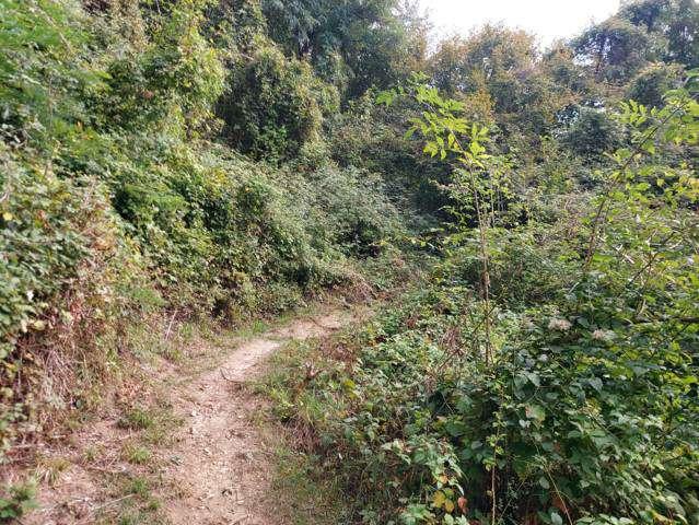 immobile appartamento all'asta in via Spersiglio snc Pradalunga (BG) - 2