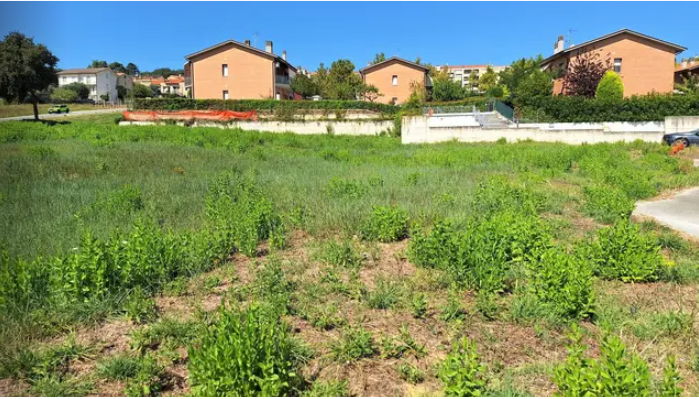 immobile terreno all'asta in via enrico berlinguer, n snc - 60018 Montemarciano (AN) - 1