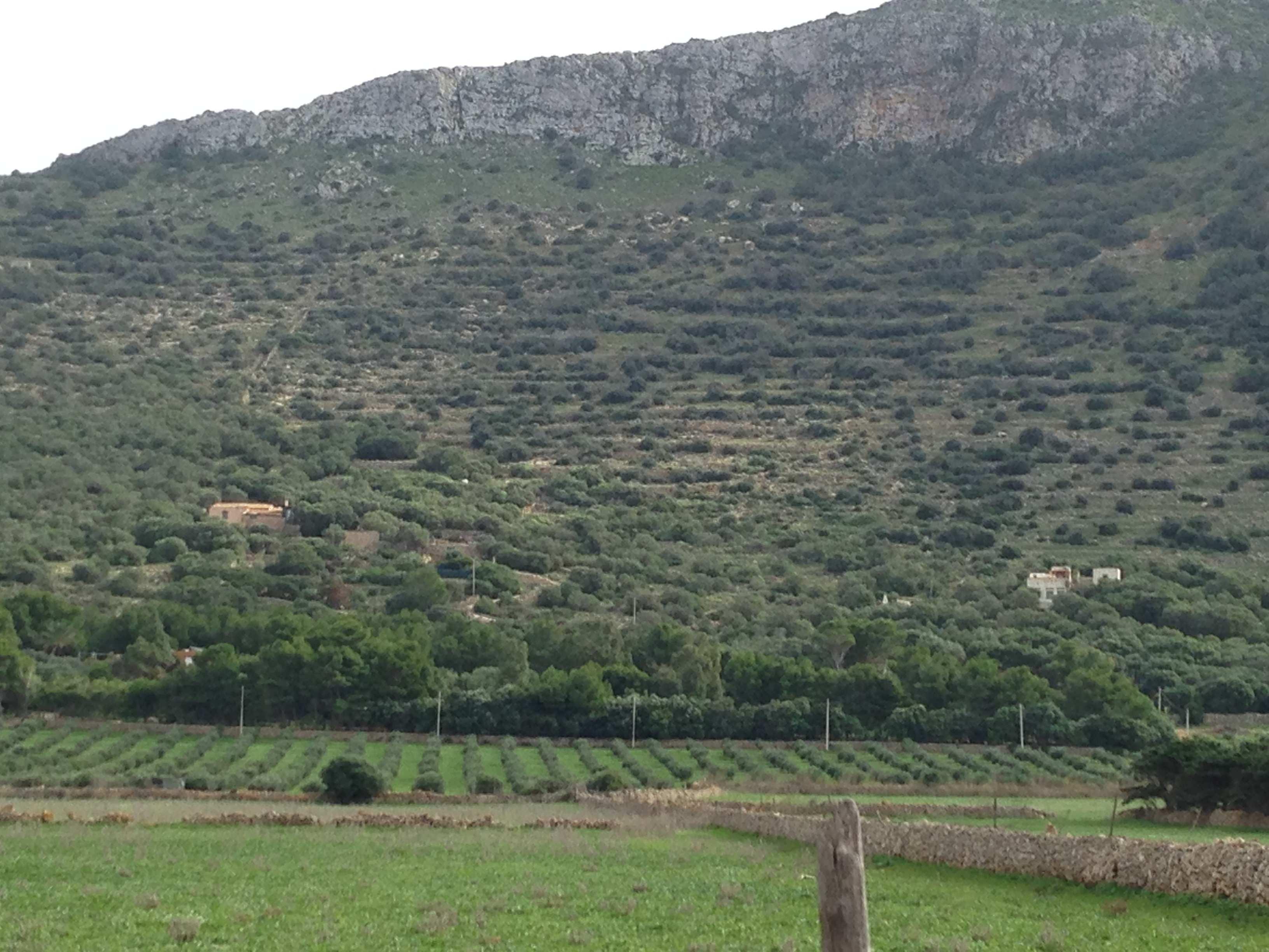 immobile rustico all'asta in C/da San Francesco - 91023 Favignana (TP) - 2
