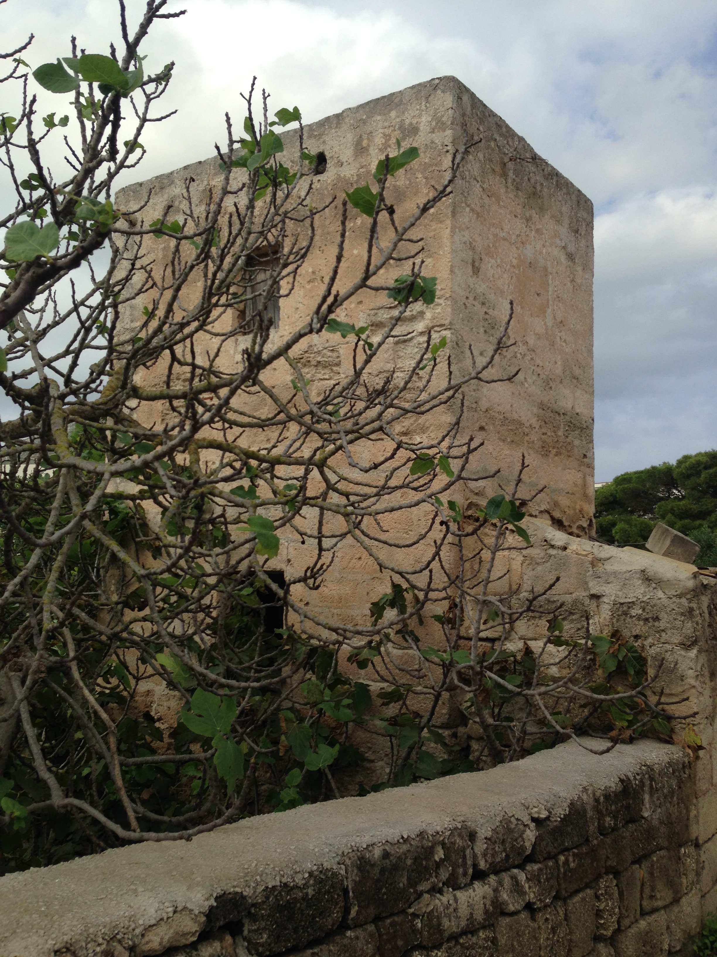 immobile rustico all'asta in C/da San Francesco - 91023 Favignana (TP) - 4