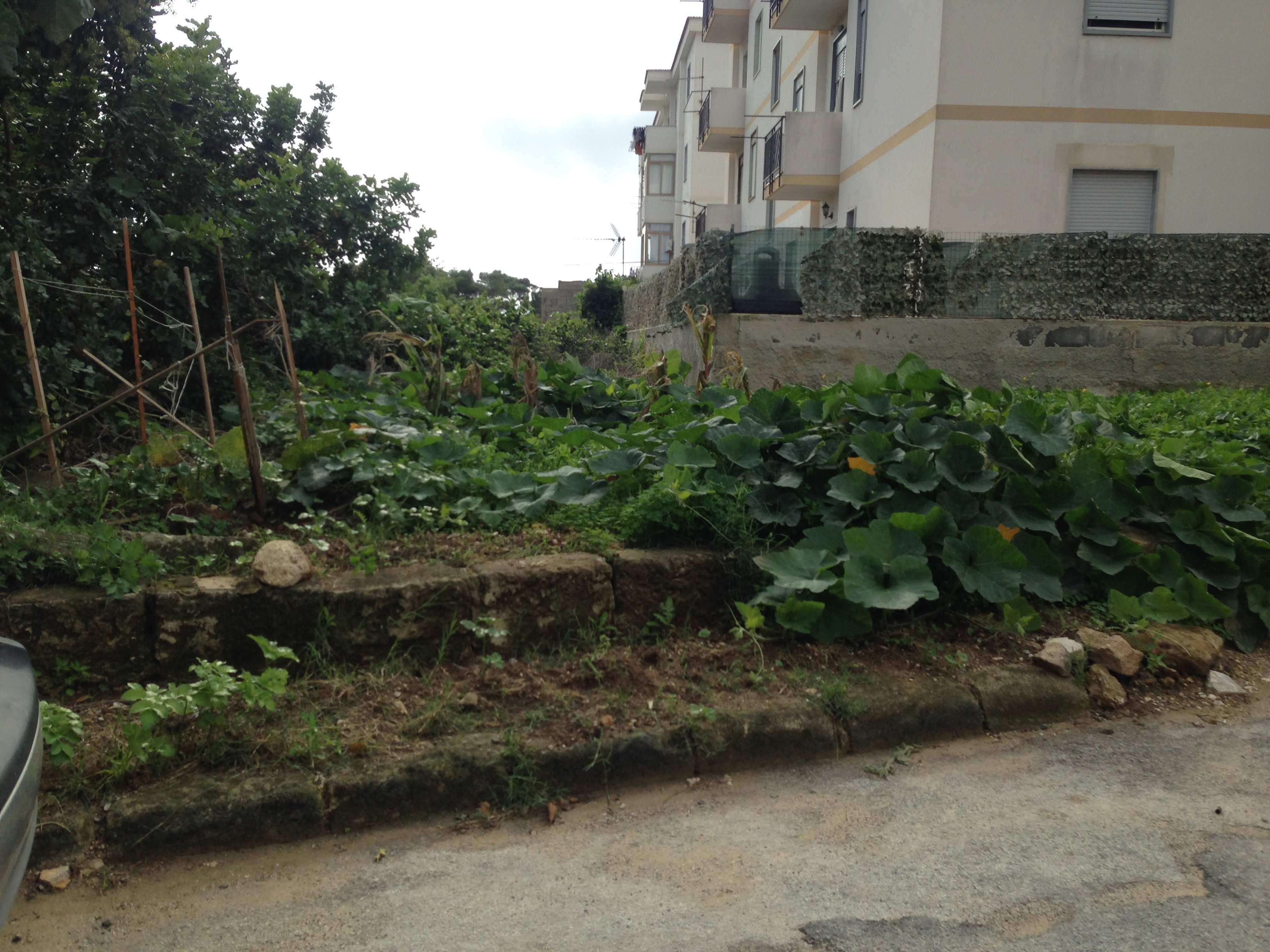 immobile rustico all'asta in C/da San Francesco - 91023 Favignana (TP) - 5