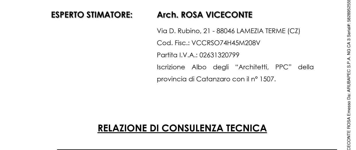 immobile attivita commerciale all'asta in Località Cannalia - 89813 Polia (VV) - 3