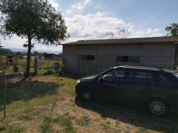 immobile appartamento all'asta in strada migliara 46 maremmana n 96 - 04016 Sabaudia (LT) - 5