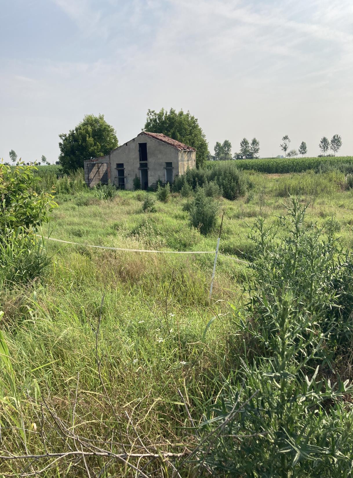immobile terreno all'asta in Località Santa Teresa in Valle, Via Emissario Sinistro, 6/A - 37053 Cerea (VR) - 2