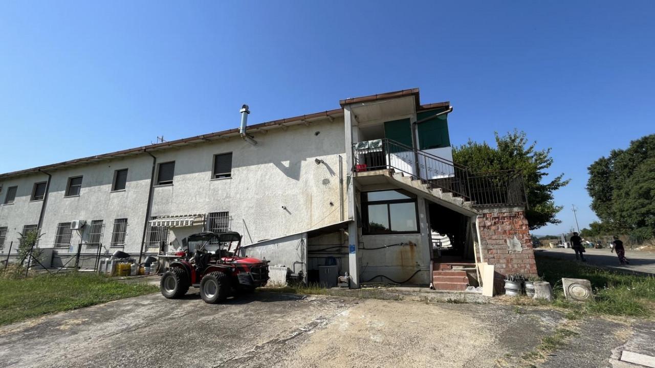 immobile PALAZZO ALL'ASTA IN VIA DEL BORDONE, 17/A E 17/B BOLOGNA (BO) - 1