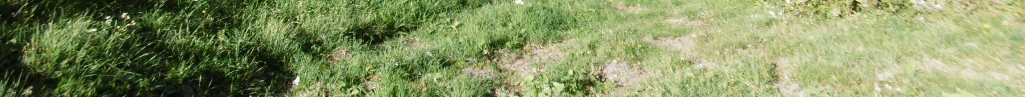 immobile appartamento all'asta in Piazzale del Lago 6 - 42032 Ventasso (RE) - 4