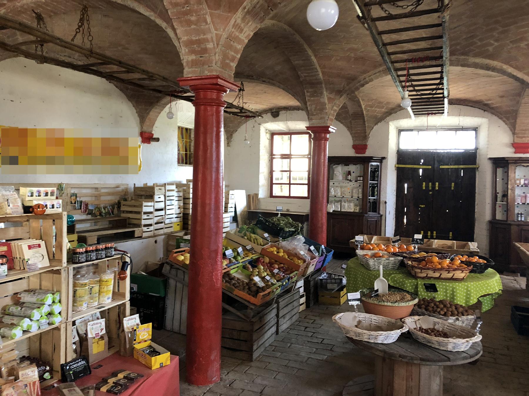 immobile rustico all'asta in Colorno, Via Lungolorno, 48 - 43052 Colorno (PR) - 2