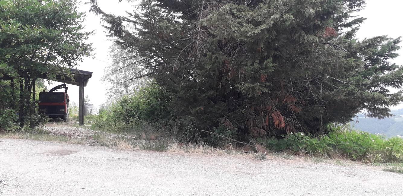 immobile magazzino all'asta in Localita' Torre Bianchina snc - 27040 Borgo Priolo (PV) - 2