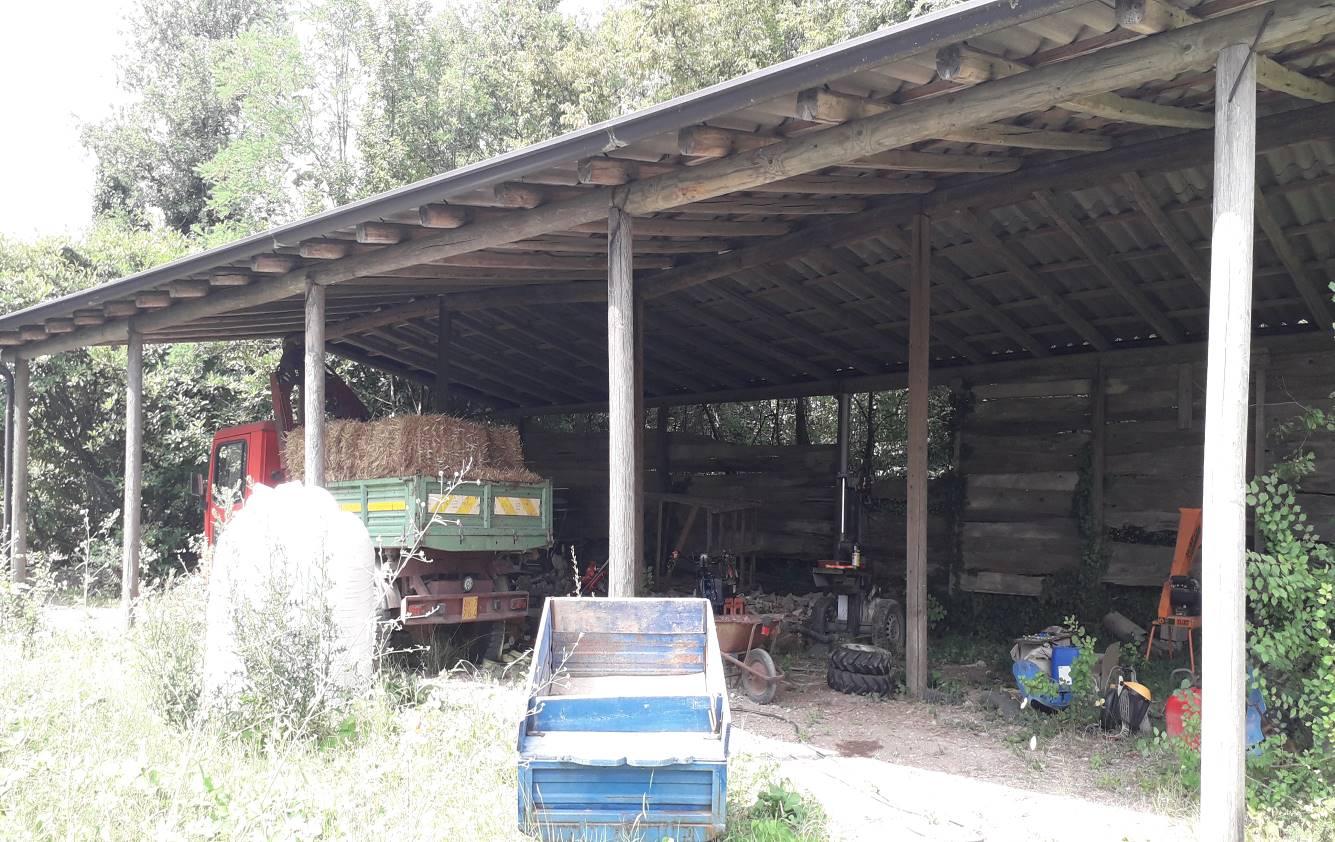 immobile magazzino all'asta in Localita' Torre Bianchina snc - 27040 Borgo Priolo (PV) - 5