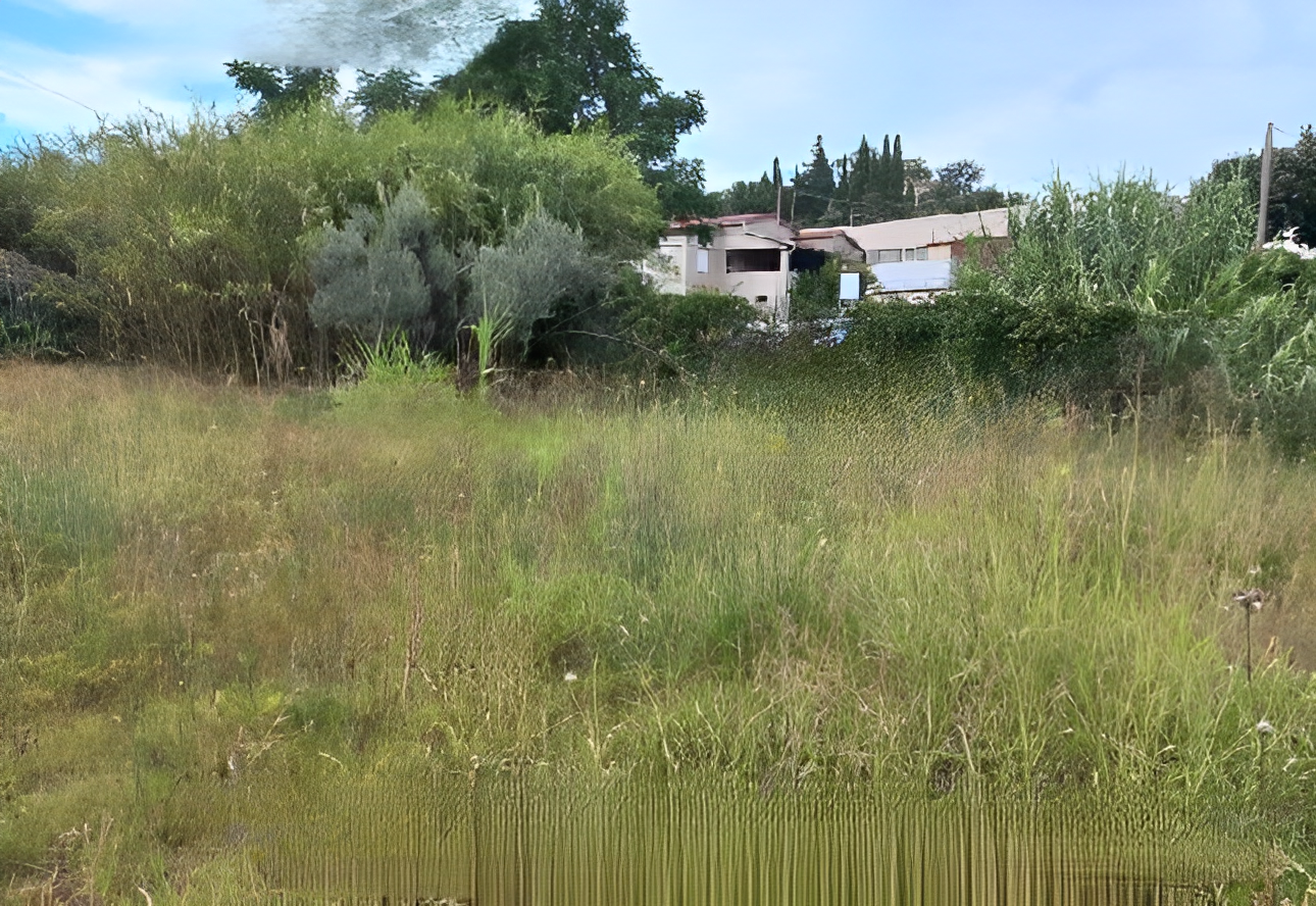 immobile terreno all'asta in Località Montecaselli Piombino (LI) - 2