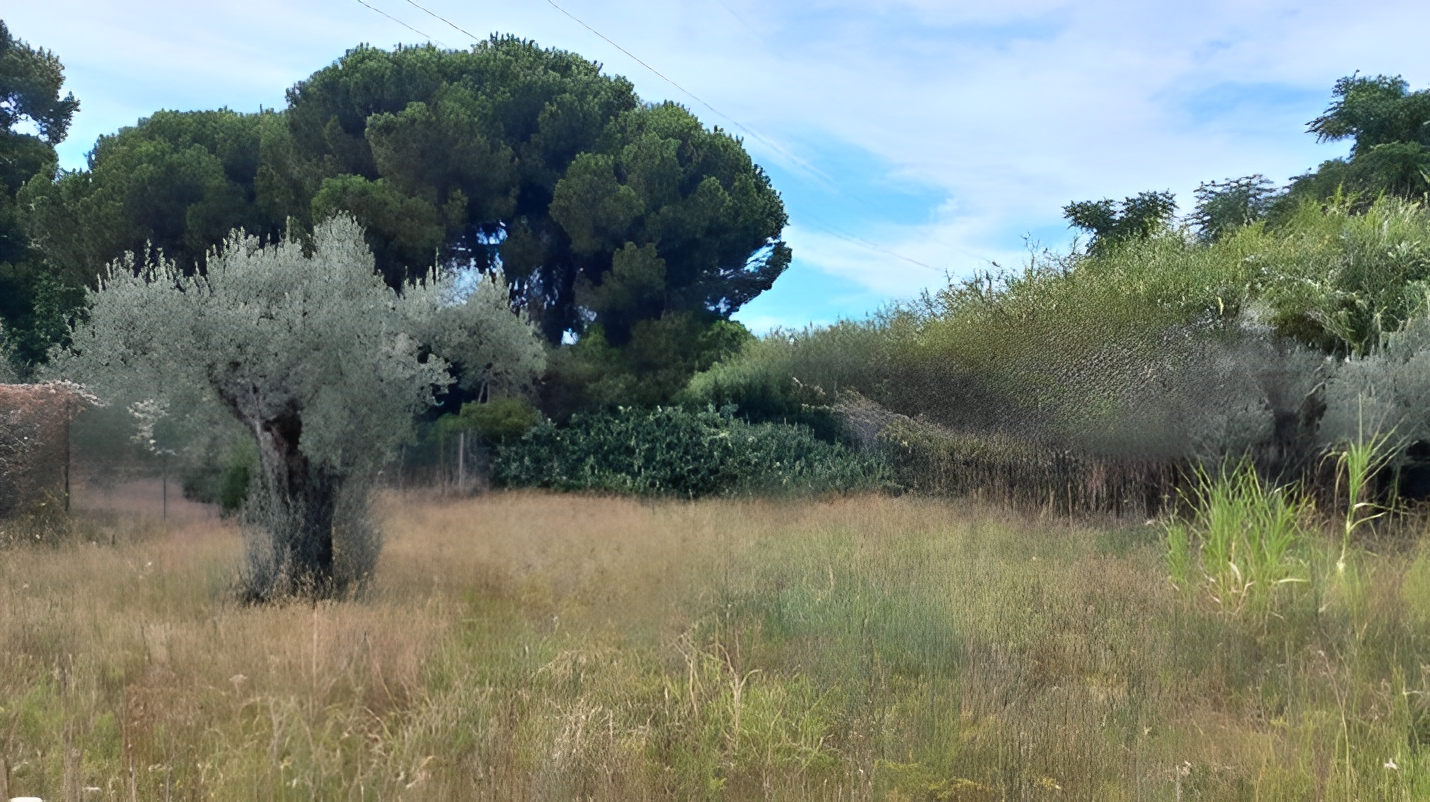 immobile terreno all'asta in Località Montecaselli Piombino (LI) - 3
