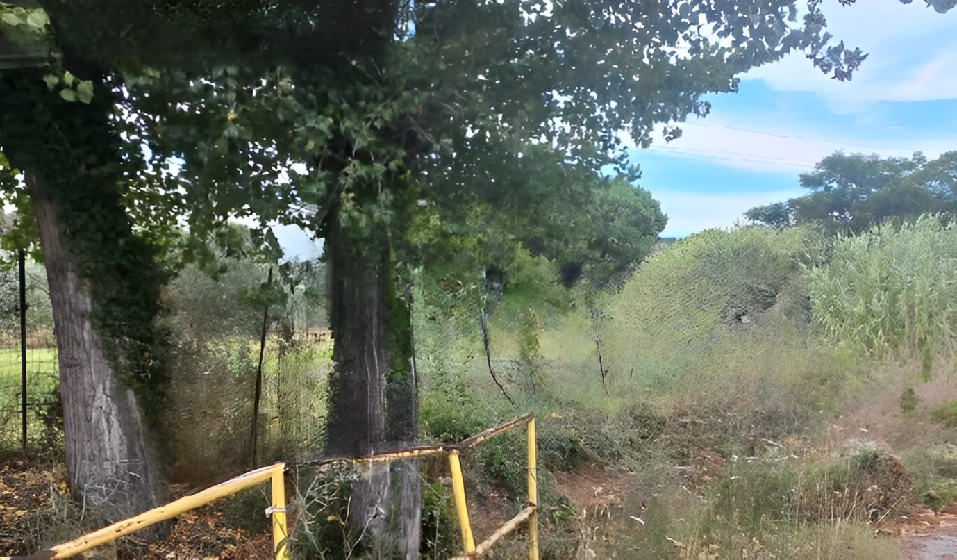 immobile terreno all'asta in Località Montecaselli Piombino (LI) - 5