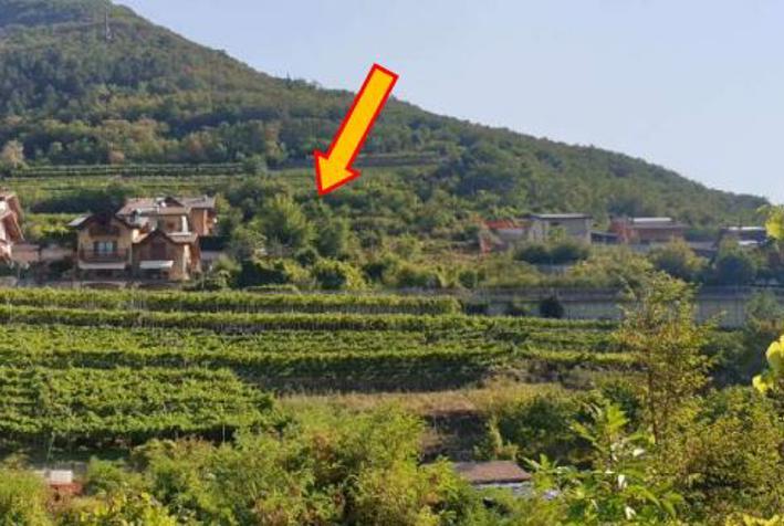 immobile terreno all'asta in Frazione Covelo - 38060 Cimone (TN) - 1