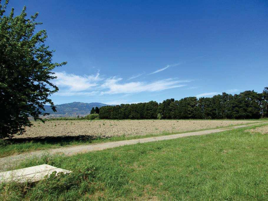 immobile terreno all'asta in Località Trigna - 88046 Lamezia Terme (CZ) - 2