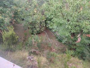 immobile appartamento all'asta in Ischignano, Via dei Colli - 54100 Massa (MS) - 4