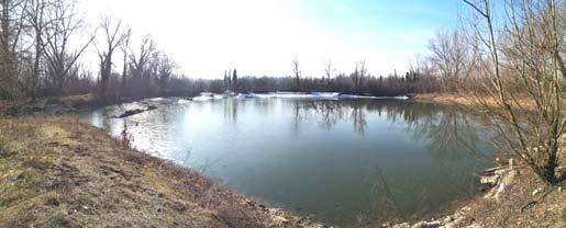 immobile appartamento all'asta in Via Roma 65/B - 27053 Lungavilla (PV) - 2