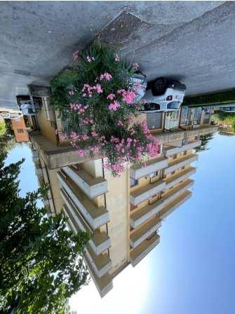 immobile appartamento all'asta in Via Carlo Rosselli n8 - 56020 Montopoli in Val d'Arno (PI) - 2