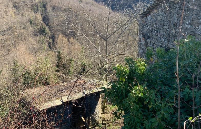 immobile terreno all'asta in Castoglio - 54029 Zeri (MS) - 1