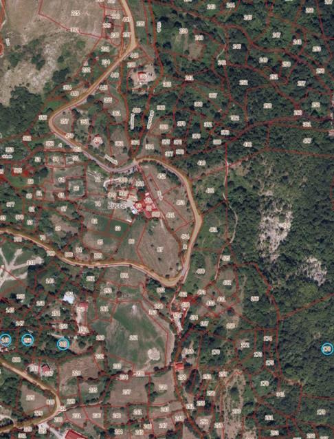 immobile terreno all'asta in PENDEGIA ZUCCA - 54029 Zeri (MS) - 1