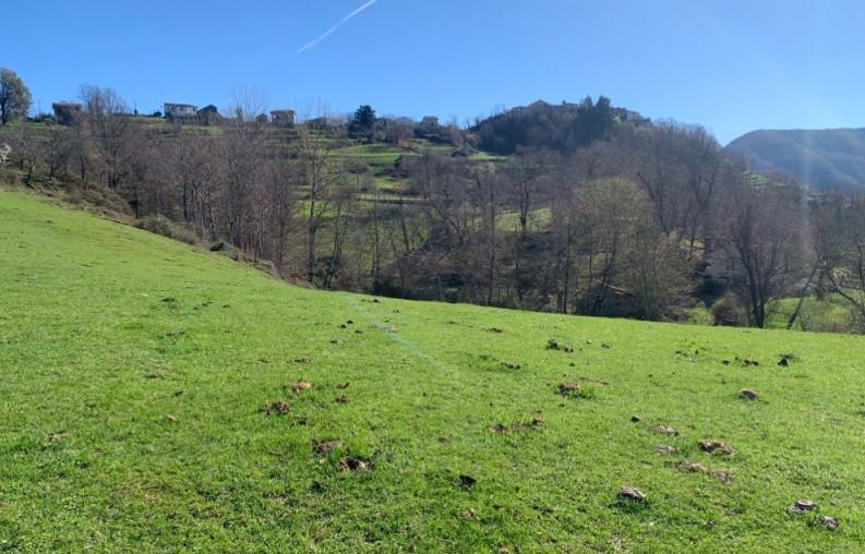 immobile terreno all'asta in Castoglio - 54029 Zeri (MS) - 1