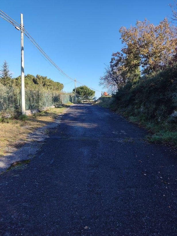 immobile terreno all'asta in Contrada Ponticello- compl Raneri - 98065 Montalbano Elicona (ME) - 3