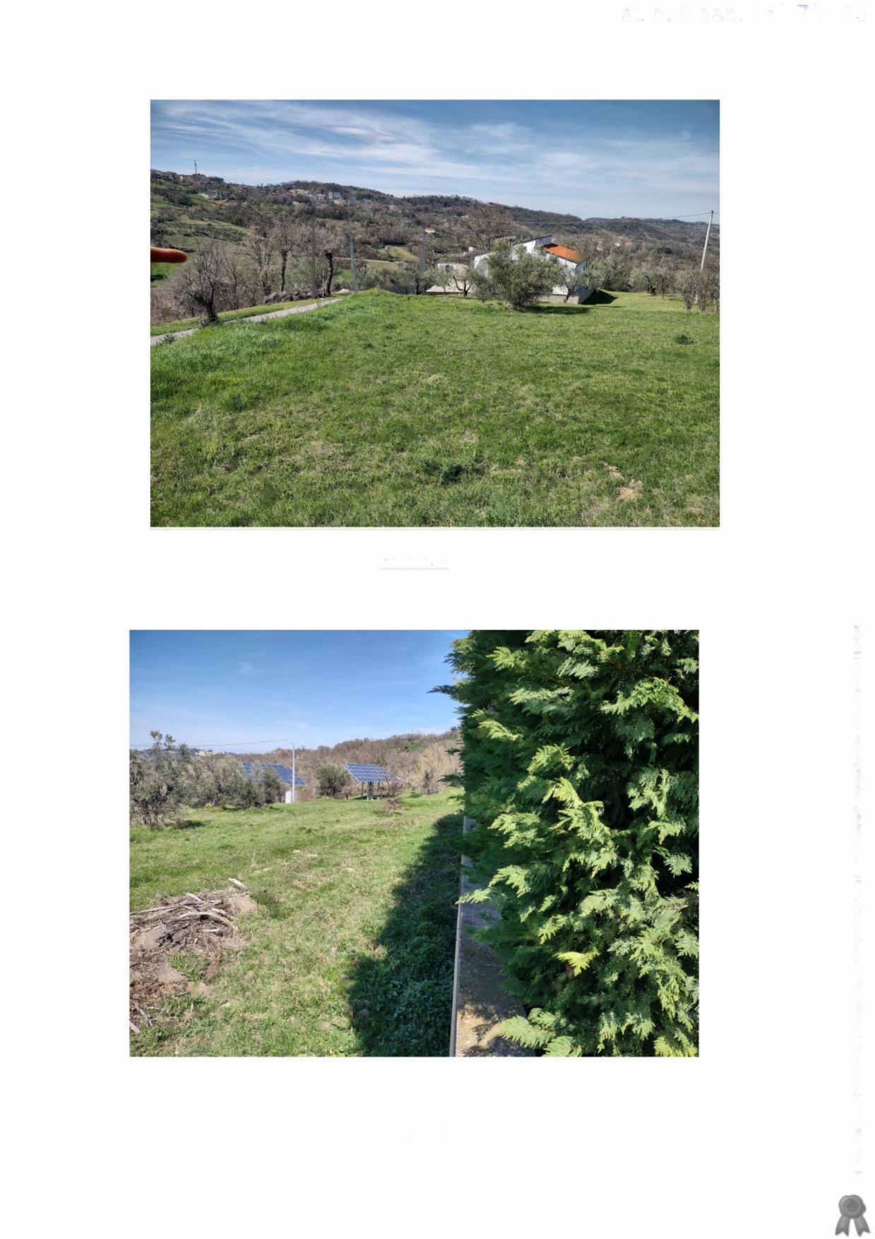 immobile terreno all'asta in Localita' San Bartolomeo snc - 66016 Guardiagrele (CH) - 4