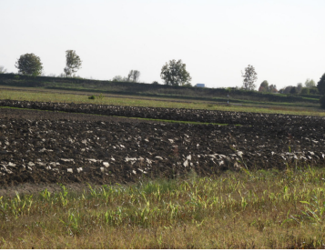 immobile COMPENDIO ALL'ASTA IN VIA PATRIARCATI, MASERÀ DI PADOVA (PD) - 4