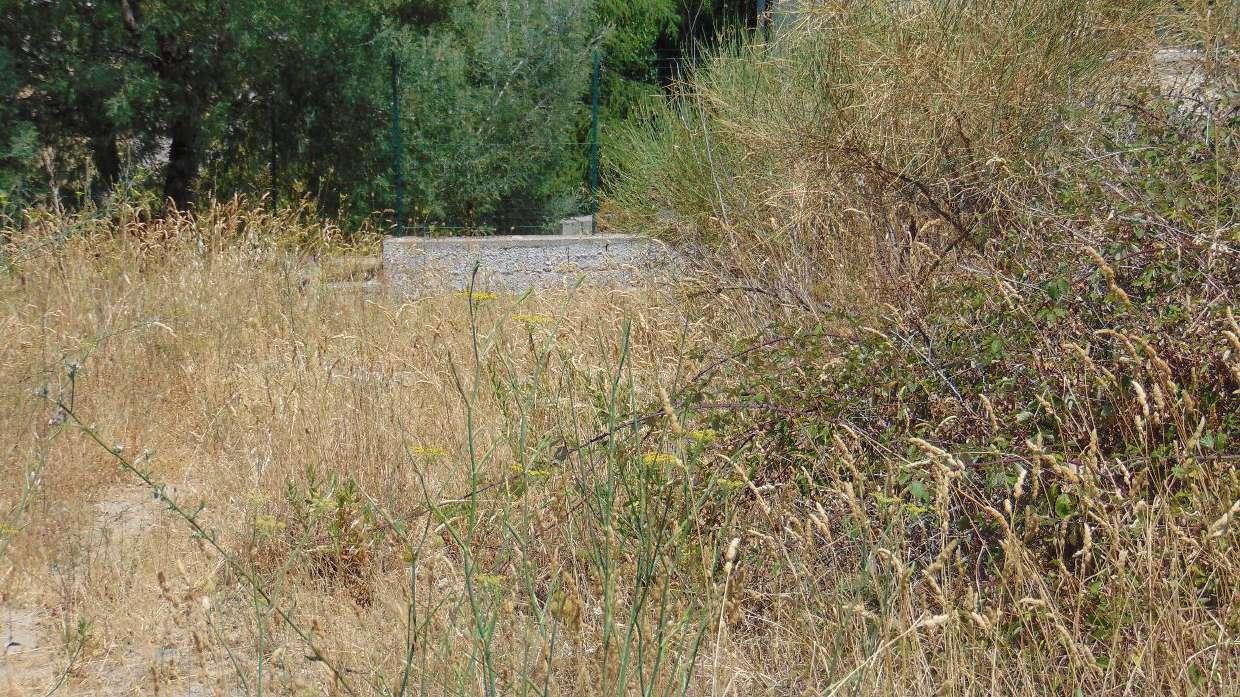 immobile terreno all'asta in Via via Timparello snc - 87060 Mandatoriccio (CS) - 5