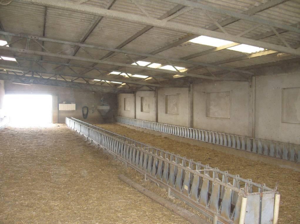 immobile rustico all'asta in Frazione Preselle - Loc Marruchetone snc - 58054 Scansano (GR) - 2