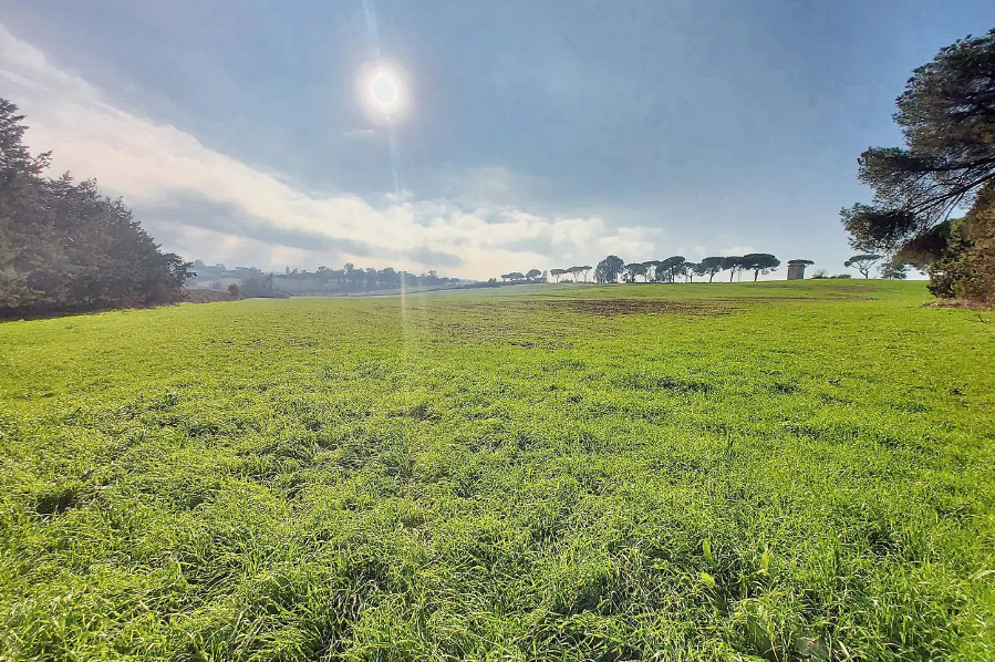 immobile terreno all'asta in via del prato della corte, n snc - 132 Roma (RM) - 1