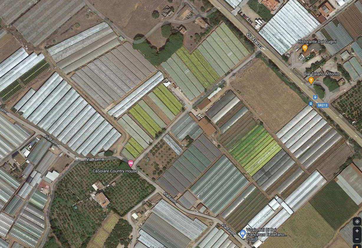 immobile terreno all'asta in Km11+600 della SP n213 Flacca ed accesso secondario da via Forma 37 - 04029 Sperlonga (LT) - 2