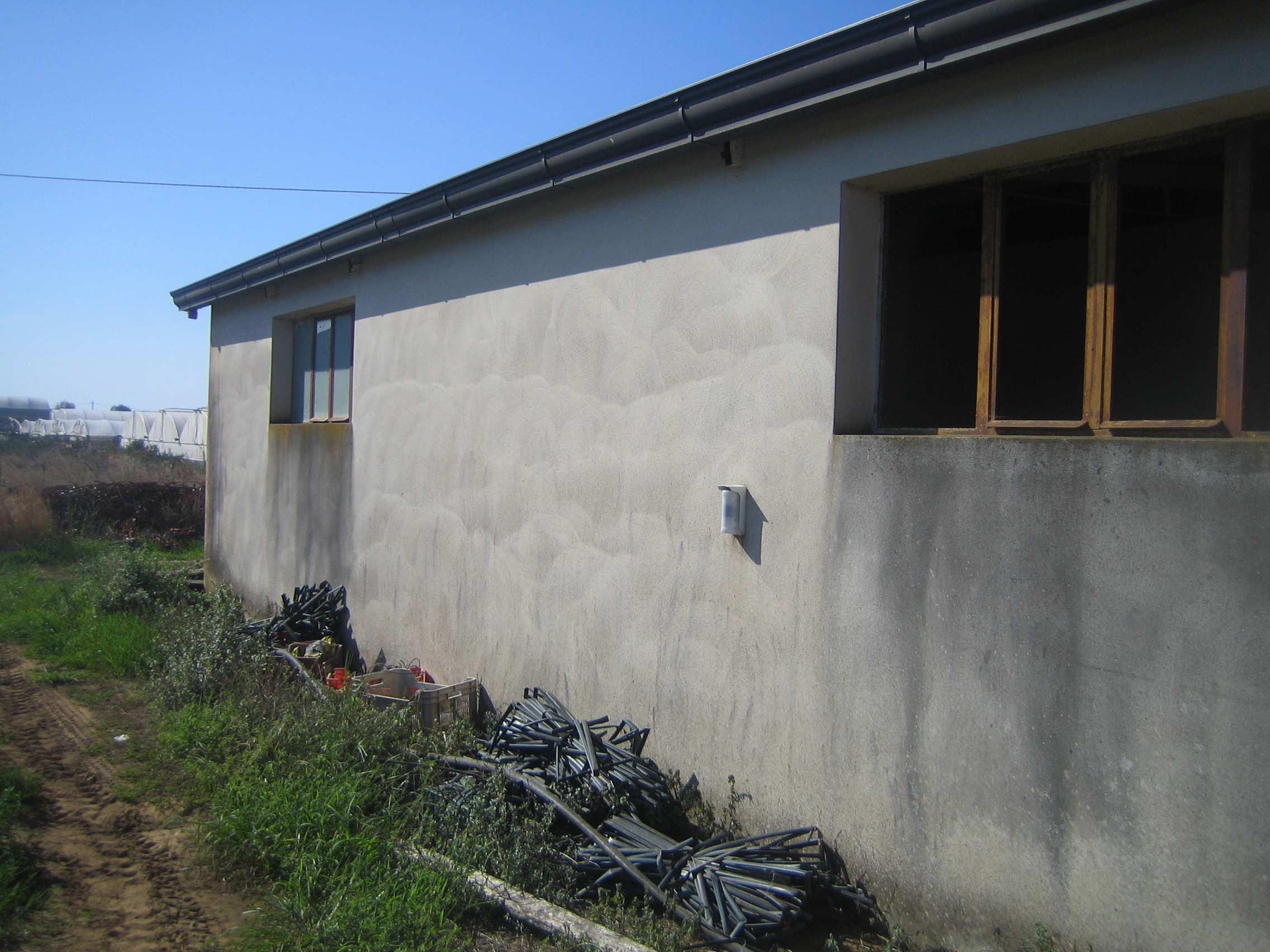 immobile terreno all'asta in Km11+600 della SP n213 Flacca ed accesso secondario da via Forma 37 - 04029 Sperlonga (LT) - 3