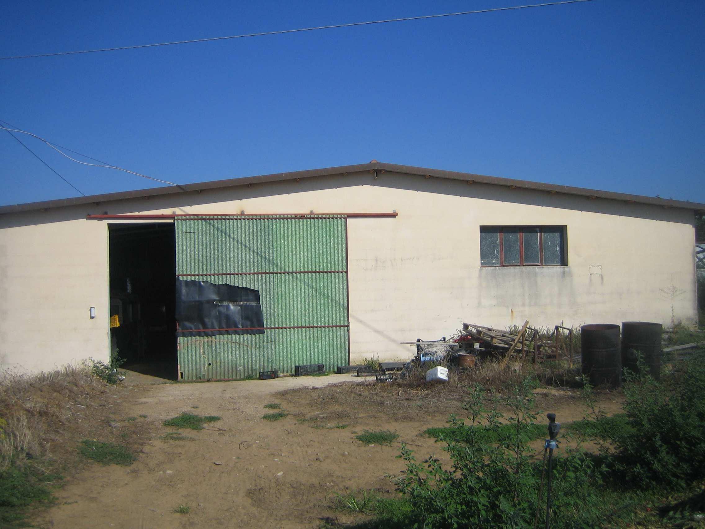 immobile terreno all'asta in Km11+600 della SP n213 Flacca ed accesso secondario da via Forma 37 - 04029 Sperlonga (LT) - 4