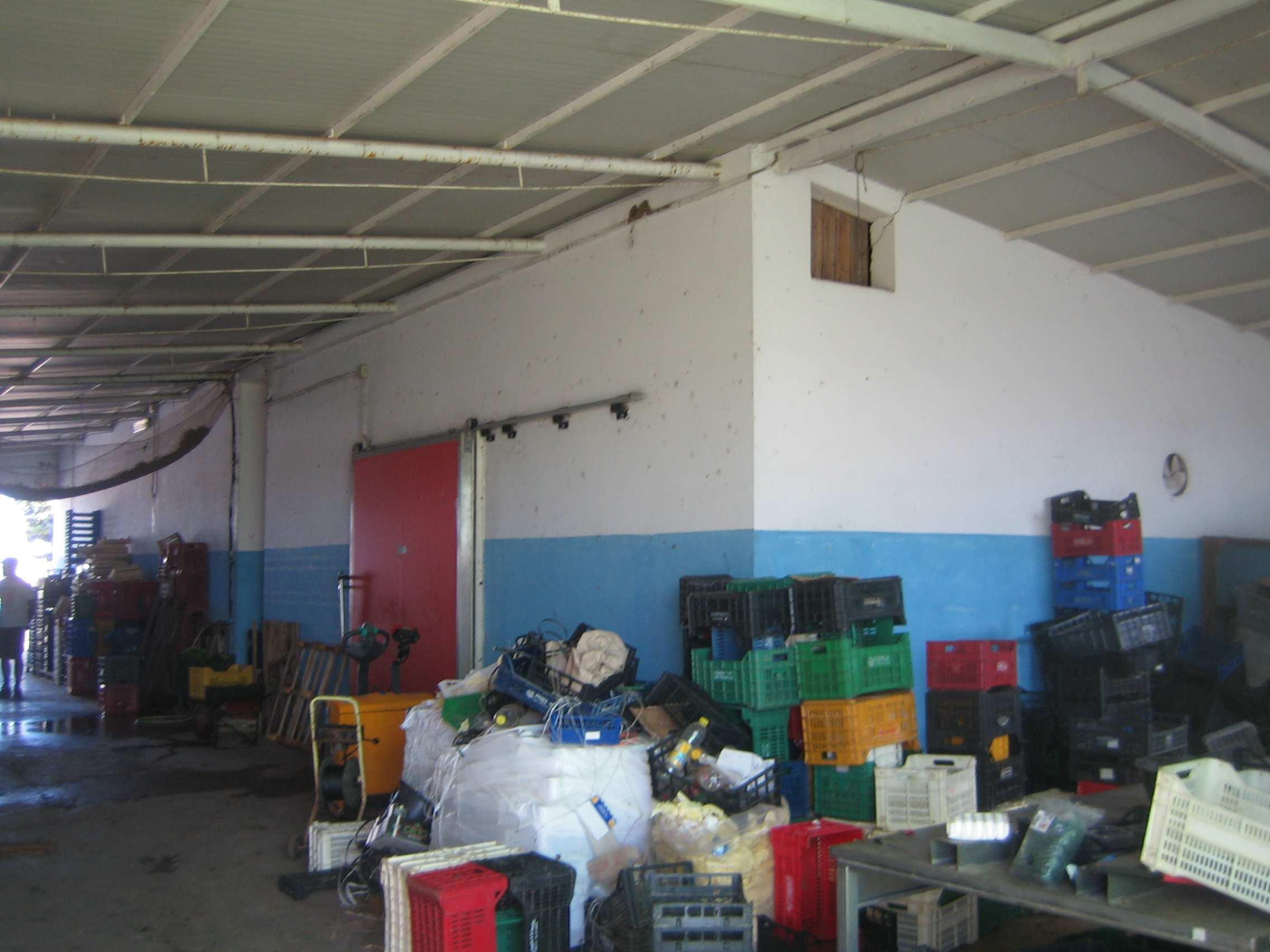 immobile terreno all'asta in Km11+600 della SP n213 Flacca ed accesso secondario da via Forma 37 - 04029 Sperlonga (LT) - 5