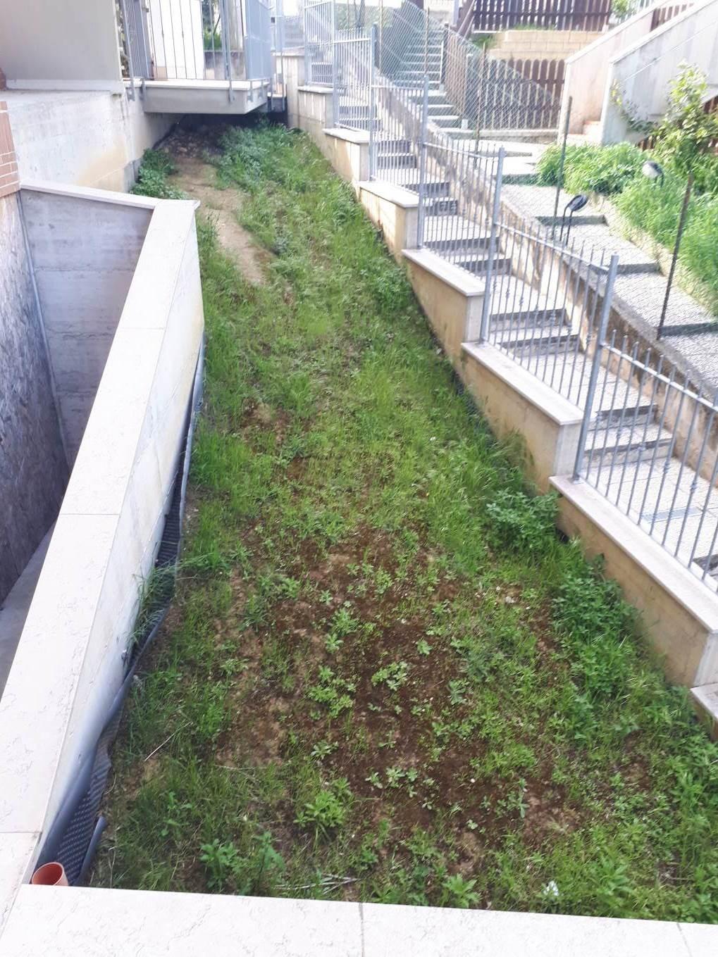 immobile palazzo all'asta in Via Trentino snc Sant'Elpidio a Mare (FM) - 1