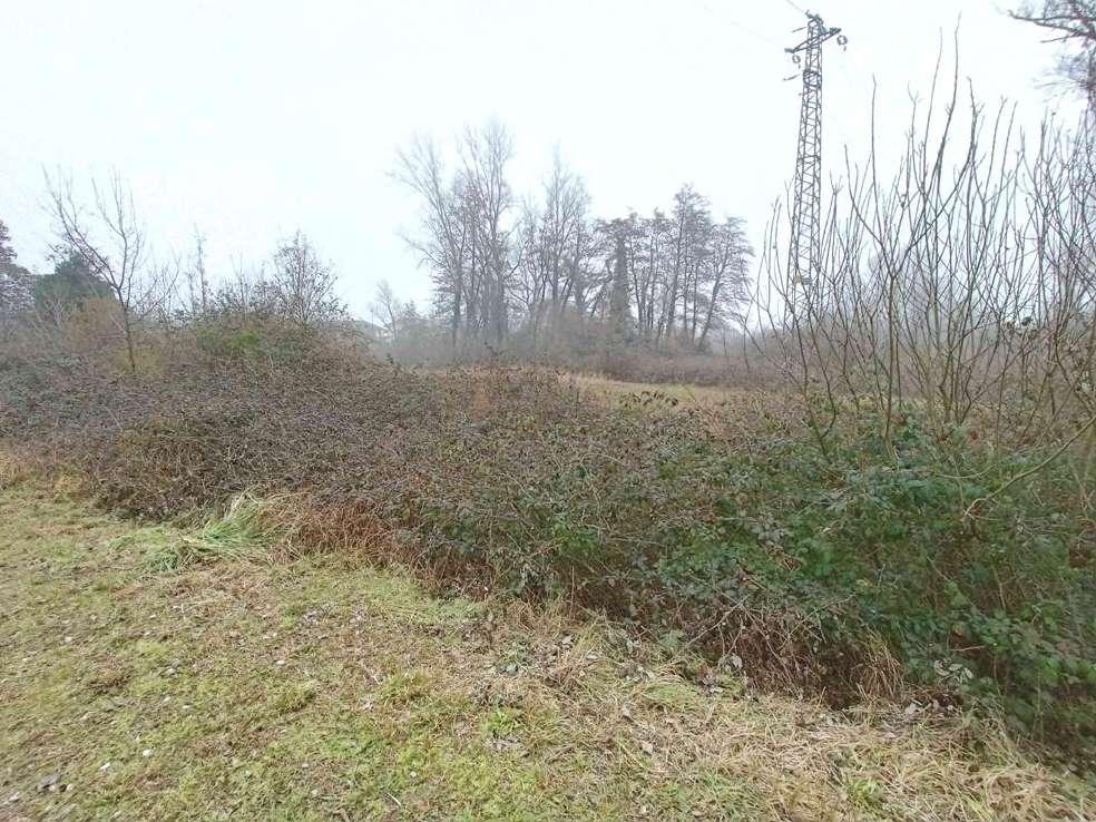 immobile terreno all'asta in Via Mons L Tognana - 31055 Quinto di Treviso (TV) - 4