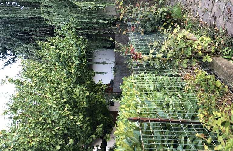 immobile appartamento all'asta in via Poggio Gallina 26 Chiusi (SI) - 2