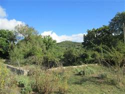 immobile terreno all'asta in Via San Rocco snc - 61044 Cantiano (PU) - 1