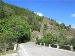 immobile terreno all'asta in Via San Rocco snc - 61044 Cantiano (PU) - 3