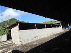 immobile terreno all'asta in Via San Rocco snc - 61044 Cantiano (PU) - 5