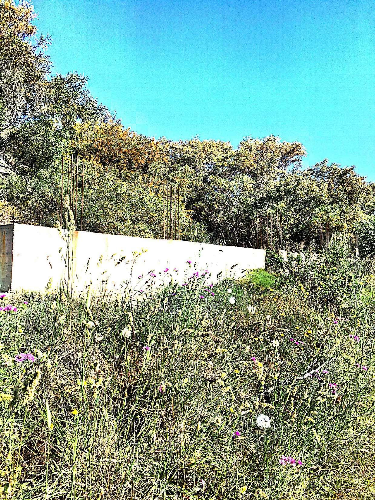 immobile terreno all'asta in Localita' Marinella - 89030 Bruzzano Zeffirio (RC) - 2